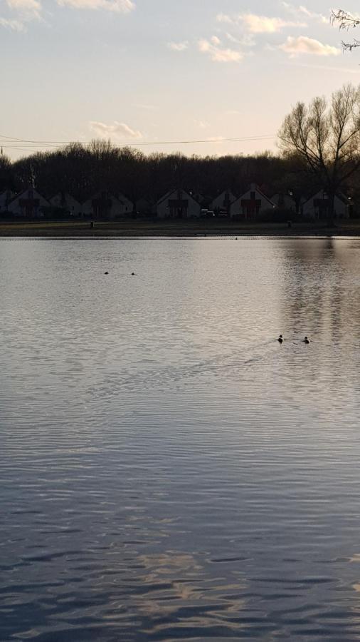 Vakantiewoning Maas En Waal Villa Ewijk Exteriör bild